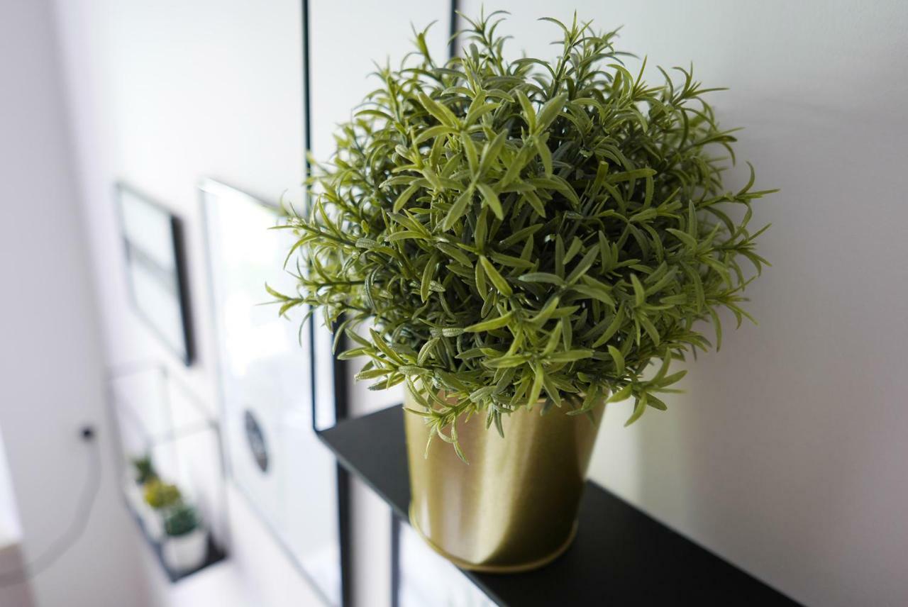 Apartament Pro卢布林 外观 照片
